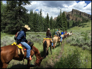Summer Horseback Rides in the West Elk Wilderness